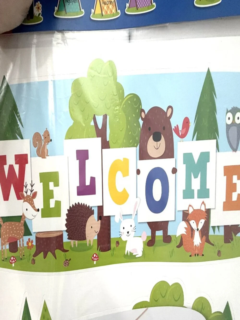 NWT Creative Teaching Press Woodland Friends Classroom Decor Bundle 98pc